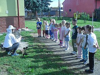 včel 2